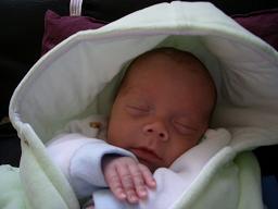 BONJOUR A  TOUS   MES AMIES &AMIS  &BON JEUDI BISOUSSSS